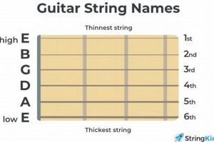Unveiling the Secrets of Your Guitar Strings: A Journey of Discovery - Master the Art of Playing Guitar and Play Like a Pro