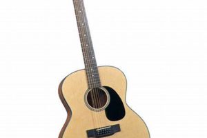 Unveiling the Legendary Blueridge: Discoveries and Insights About the 12-String Masterpiece - Master the Art of Playing Guitar and Play Like a Pro