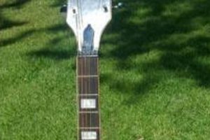 Unveiling the National Acoustic Guitar: A Journey of Discovery and Insight - Master the Art of Playing Guitar and Play Like a Pro