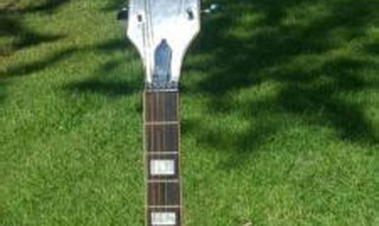 Unveiling the National Acoustic Guitar: A Journey of Discovery and Insight - Master the Art of Playing Guitar and Play Like a Pro