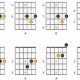 Unlock the Secrets of Guitar Chord Voicings: Discoveries and Insights - Master the Art of Playing Guitar and Play Like a Pro