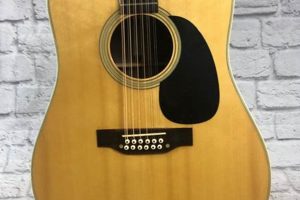 Unveiling the Takamine F400 12-String: A Sonic Journey - Master the Art of Playing Guitar and Play Like a Pro
