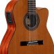 Unveiling the Wonders of Hybrid Acoustic Electric Guitars: A Journey of Sound and Innovation - Master the Art of Playing Guitar and Play Like a Pro