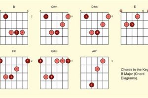Discover the Sonic Delights of Guitar Chords in the Key of B - Master the Art of Playing Guitar and Play Like a Pro