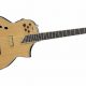 Unlock the Hybrid Acoustic Guitar: Your Gateway to Sonic Versatility - Master the Art of Playing Guitar and Play Like a Pro