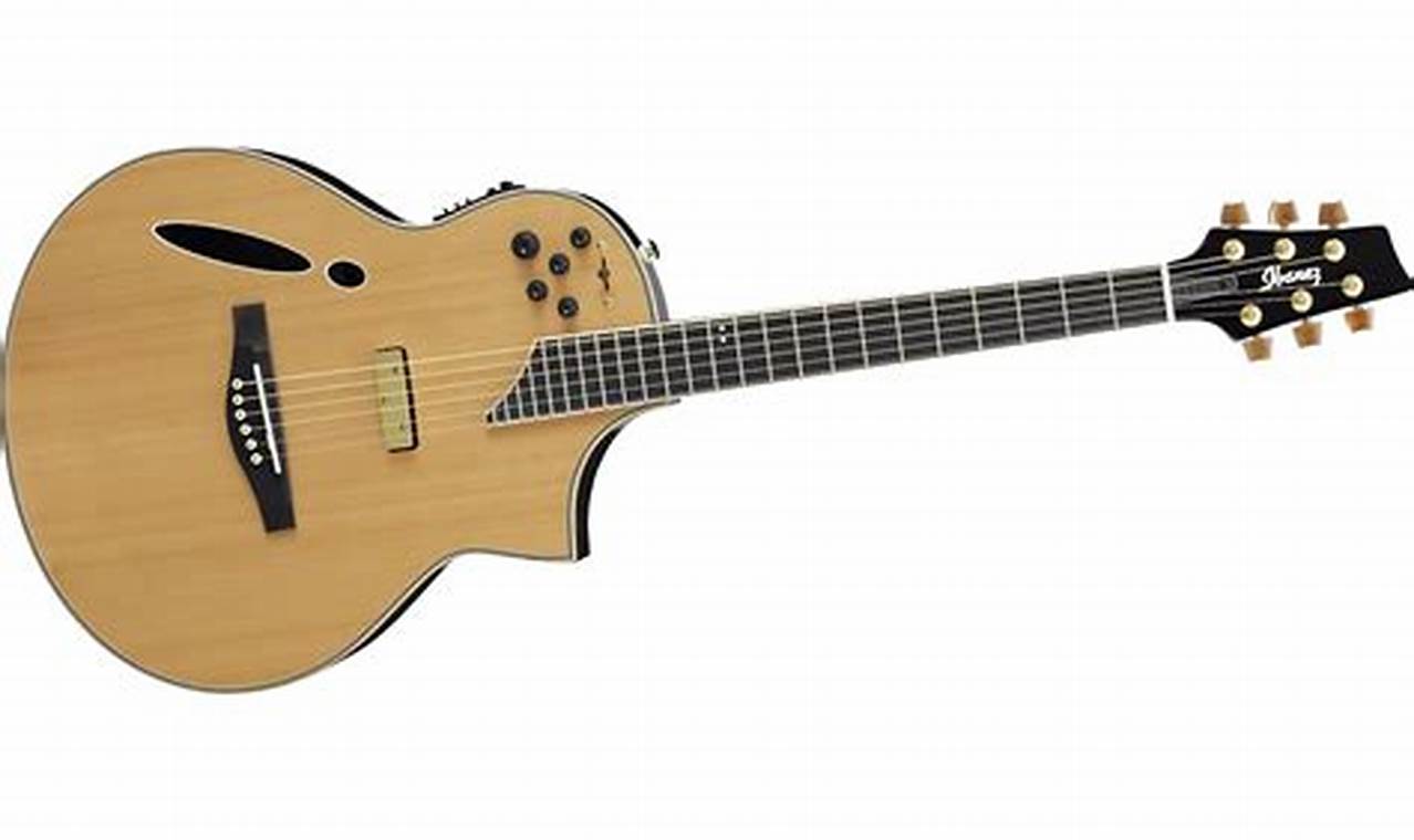 Unlock the Hybrid Acoustic Guitar: Your Gateway to Sonic Versatility Master the Art of Playing Guitar and Play Like a Pro Unlock the Hybrid Acoustic Guitar: Your Gateway to Sonic Versatility - Master the Art of Playing Guitar and Play Like a Pro