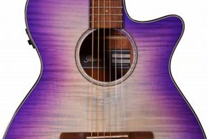 Unleash the Purple Acoustic Magic: Unveiling the Ibanez Masterpiece - Master the Art of Playing Guitar and Play Like a Pro