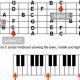 Unveiling the Secrets: Your Journey to Master Guitar Chord Construction - Master the Art of Playing Guitar and Play Like a Pro