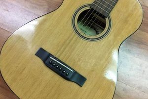 Unveiling the Secrets of J. Reynolds Acoustic Guitars: Discoveries and Insights for Acoustic Aficionados - Master the Art of Playing Guitar and Play Like a Pro