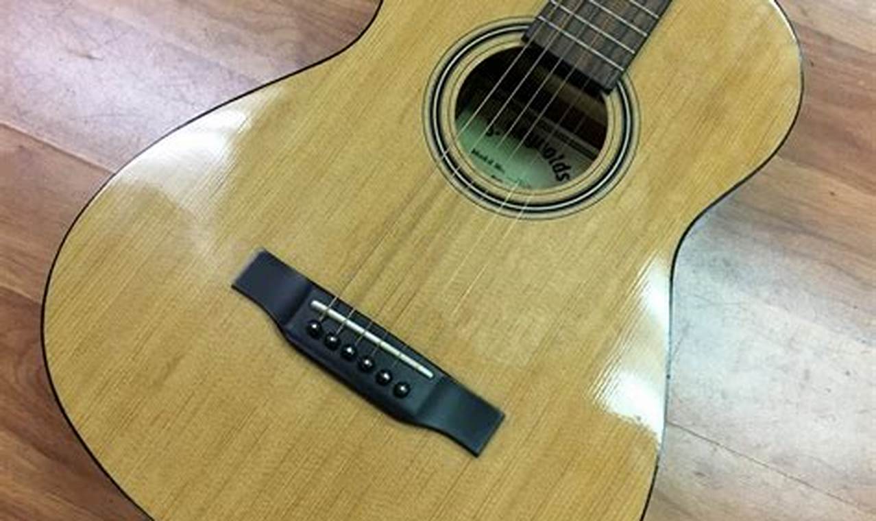 Unveiling the Secrets of J. Reynolds Acoustic Guitars: Discoveries and Insights for Acoustic Aficionados - Master the Art of Playing Guitar and Play Like a Pro