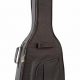 Unveiling the Ultimate Guide to Guitar Gig Bags: Acoustic Variations and Beyond - Master the Art of Playing Guitar and Play Like a Pro