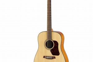 Unveiling the Secrets of Walden Acoustic Guitars: A Journey of Discovery - Master the Art of Playing Guitar and Play Like a Pro
