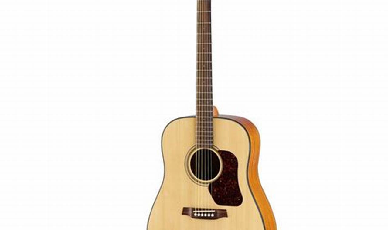 Unveiling the Secrets of Walden Acoustic Guitars: A Journey of Discovery - Master the Art of Playing Guitar and Play Like a Pro