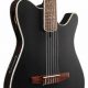 Unveiling the World of Nylon Electric Acoustic Guitars: A Journey of Sound and Versatility - Master the Art of Playing Guitar and Play Like a Pro