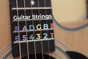 Unveiling the Secrets of Guitar Strings: A Comprehensive Guide to Labels for Ultimate Sound - Master the Art of Playing Guitar and Play Like a Pro