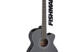Unveiling the Secrets of Stagg Acoustic-Electric Guitars: A Journey of Sound and Discovery - Master the Art of Playing Guitar and Play Like a Pro