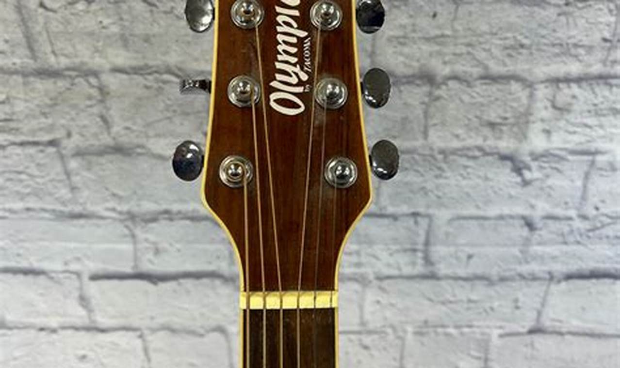 Unveiling the Secrets of Olympia Acoustic Guitars: A Journey of Sound and Craftsmanship - Master the Art of Playing Guitar and Play Like a Pro