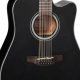Unveil the Enchanting World of Takamine 12-String Acoustic-Electric Guitars - Master the Art of Playing Guitar and Play Like a Pro
