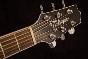 Unveiling the Secrets of Takemine Acoustic Guitars: A Journey of Sound and Discovery Master the Art of Playing Guitar and Play Like a Pro Unveiling the Secrets of Takemine Acoustic Guitars: A Journey of Sound and Discovery - Master the Art of Playing Guitar and Play Like a Pro