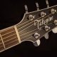 Unveiling the Secrets of Takemine Acoustic Guitars: A Journey of Sound and Discovery - Master the Art of Playing Guitar and Play Like a Pro