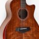 Unveiling the Taylor 12-String Acoustic Guitar: A Journey of Sonic Delights - Master the Art of Playing Guitar and Play Like a Pro