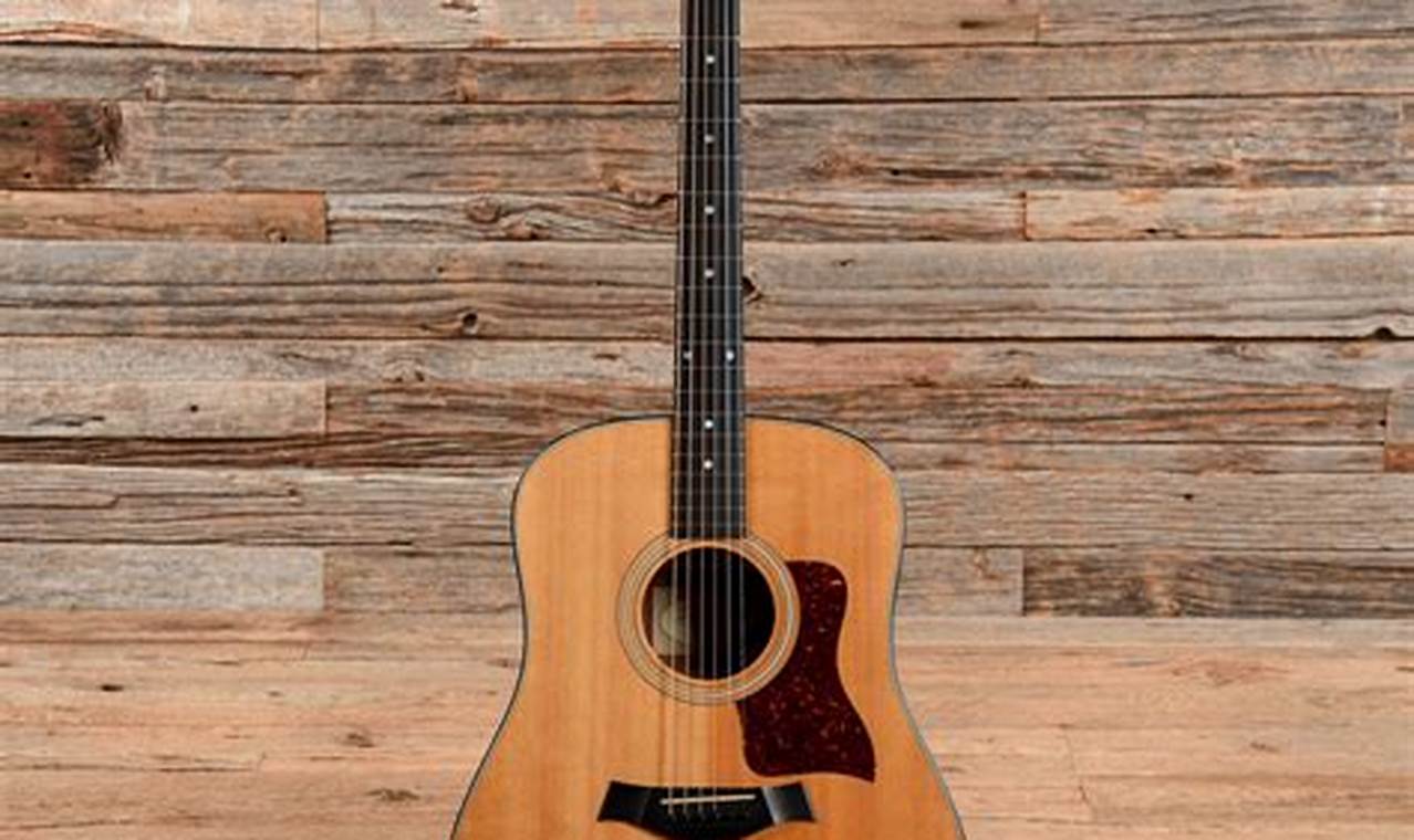 Discover the Unparalleled Sound of the Taylor 310 Acoustic Guitar - Master the Art of Playing Guitar and Play Like a Pro