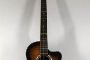 Uncover the Enchanting World of Telluride Acoustic Guitars: Discoveries and Insights - Master the Art of Playing Guitar and Play Like a Pro