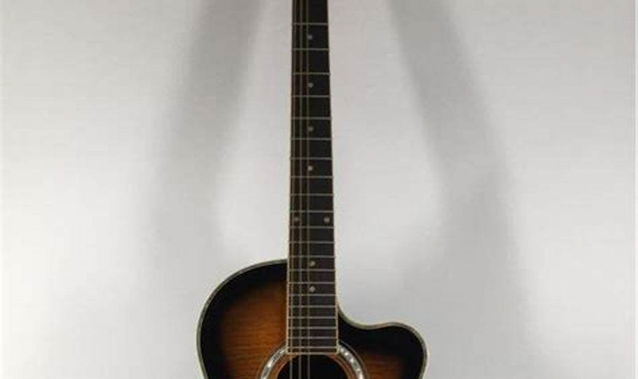 Uncover the Enchanting World of Telluride Acoustic Guitars: Discoveries and Insights - Master the Art of Playing Guitar and Play Like a Pro