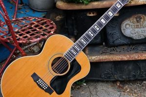 Unveiling the Enigmatic Jumbo 12 String Guitar: A Journey into Sonic Delights - Master the Art of Playing Guitar and Play Like a Pro
