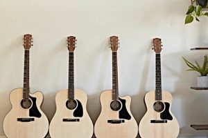 Unveil the Secrets of Vintage Acoustic Guitar Brands: A Journey to Discover the Masters - Master the Art of Playing Guitar and Play Like a Pro