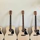 Unveil the Secrets of Vintage Acoustic Guitar Brands: A Journey to Discover the Masters - Master the Art of Playing Guitar and Play Like a Pro