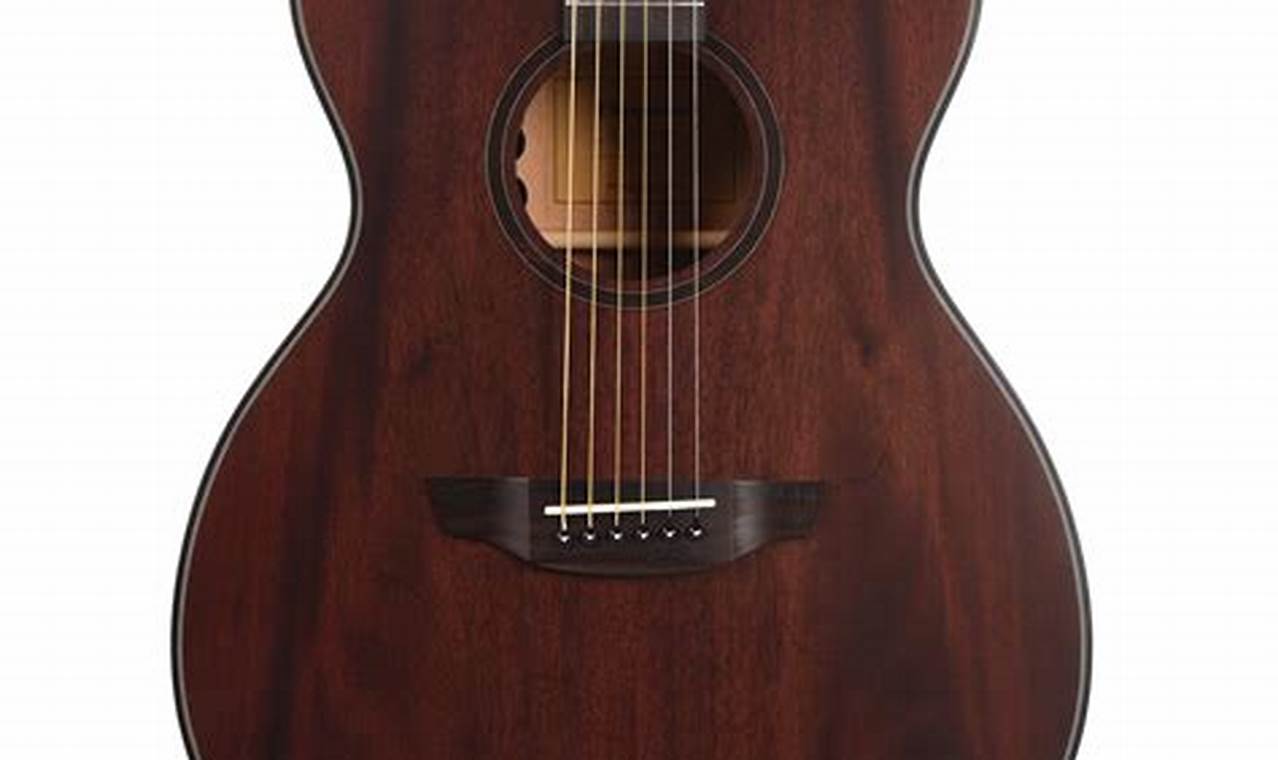 Unveiling the Secrets of Orangewood Acoustic-Electric Guitars - Master the Art of Playing Guitar and Play Like a Pro