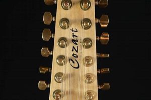 Uncover Unparalleled Insights into the Cozart 12 String Electric Guitar - Master the Art of Playing Guitar and Play Like a Pro