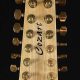 Uncover Unparalleled Insights into the Cozart 12 String Electric Guitar - Master the Art of Playing Guitar and Play Like a Pro