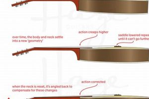 Unlock the Secrets of Acoustic Guitar Neck Resets: A Journey to Enhanced Playability and Tone - Master the Art of Playing Guitar and Play Like a Pro