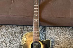 Uncover the Secrets of the Ovation Applause Electro Acoustic Guitar: A Journey of Sound and Versatility - Master the Art of Playing Guitar and Play Like a Pro