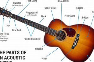 Unveil the Symphony of an Acoustic Guitar: Exploring Its Intricate Parts - Master the Art of Playing Guitar and Play Like a Pro