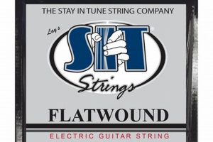 Unveiling the Secrets of Electric Guitar Strings Wound G: A Journey to Sonic Excellence - Master the Art of Playing Guitar and Play Like a Pro