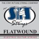 Unveiling the Secrets of Electric Guitar Strings Wound G: A Journey to Sonic Excellence - Master the Art of Playing Guitar and Play Like a Pro