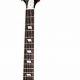 Unveil the Sonic Symphony: Discoveries with Epiphone 12 String Electric Guitar - Master the Art of Playing Guitar and Play Like a Pro