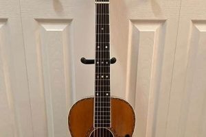 Unveil the Secrets of Regal Guitar Acoustics: Discoveries and Insights Await - Master the Art of Playing Guitar and Play Like a Pro