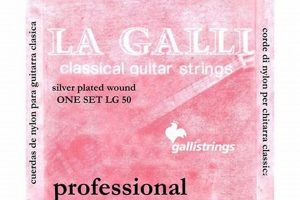 Unveiling the Secrets of Galli Guitar Strings: Discoveries and Insights for Exceptional Sound - Master the Art of Playing Guitar and Play Like a Pro