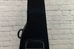 Uncover the Secrets: The Ultimate Guide to Road Runner Acoustic Guitar Cases Master the Art of Playing Guitar and Play Like a Pro Uncover the Secrets: The Ultimate Guide to Road Runner Acoustic Guitar Cases - Master the Art of Playing Guitar and Play Like a Pro