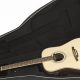 Roadrunner Acoustic Guitar Case: The Ultimate Guide to Unlocking Protection and Peace of Mind - Master the Art of Playing Guitar and Play Like a Pro