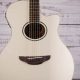 Unveiling the Secrets of the Yamaha APX600: Your Acoustic Journey Begins - Master the Art of Playing Guitar and Play Like a Pro