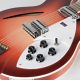 12-String Electric Guitar: Unlocking Hidden Treasures - Master the Art of Playing Guitar and Play Like a Pro