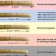 Discover the Secrets of Acoustic Guitar Nut Width: Unveiling a World of Playability and Tone - Master the Art of Playing Guitar and Play Like a Pro