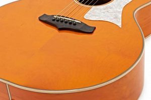 Acoustic Guitar Orange: Unlocking Hidden Gems and Unprecedented Soundscapes - Master the Art of Playing Guitar and Play Like a Pro