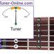 Discover the Ultimate Guide to 12 String Guitar Tuning Online - Master the Art of Playing Guitar and Play Like a Pro