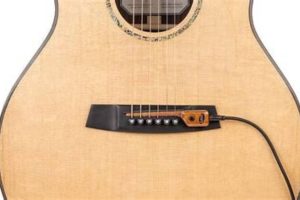 Unlock the Secrets of Amplified Acoustics: Discover the Piezo Pickup Revolution - Master the Art of Playing Guitar and Play Like a Pro